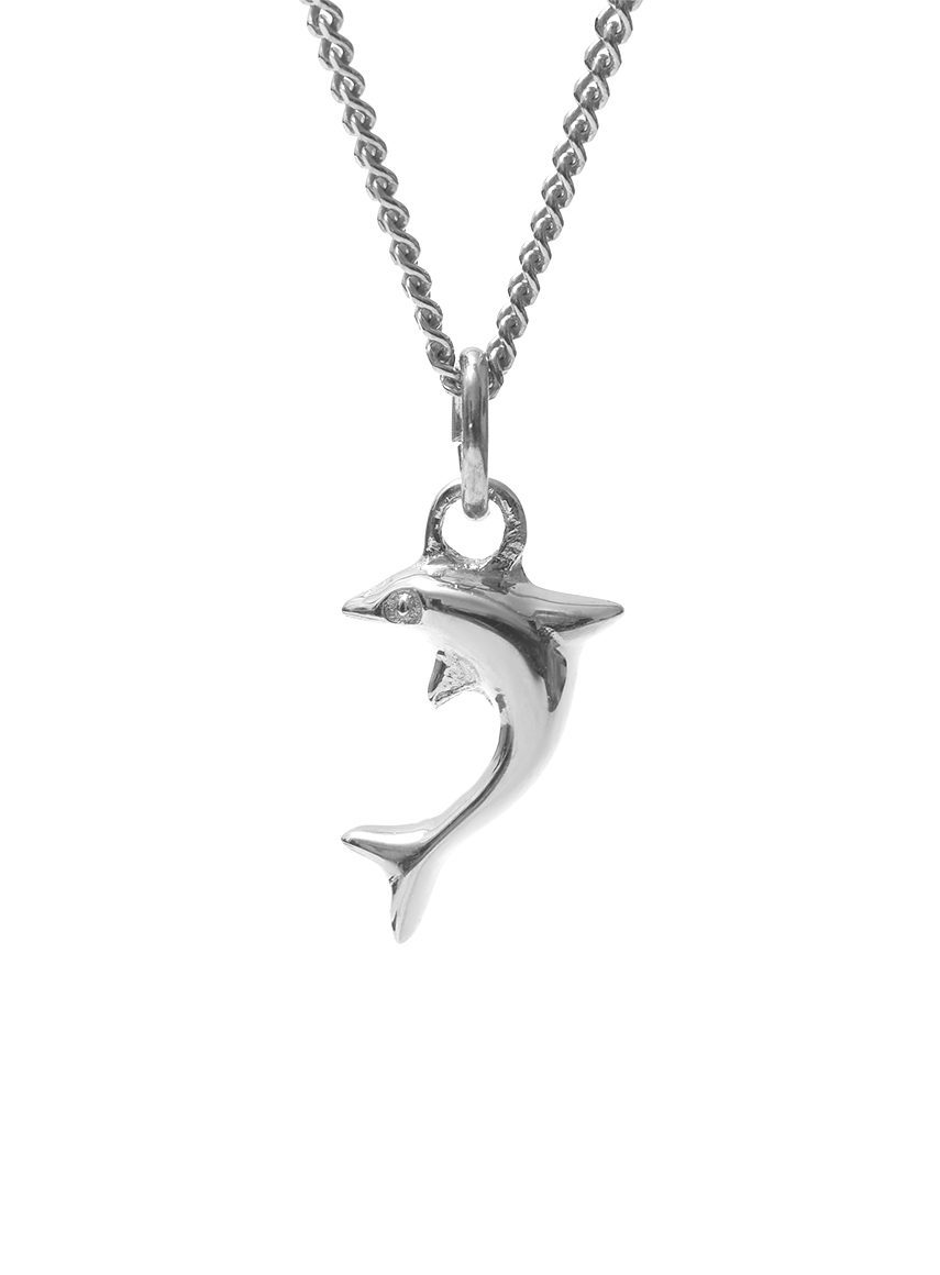 Dolphin Silver